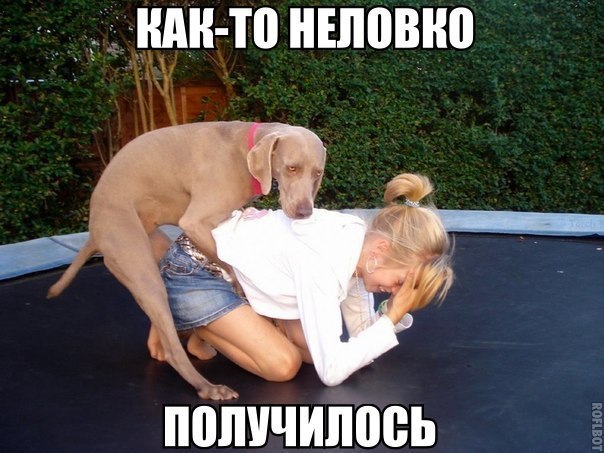 ��������� � ������,��� ���� ��������: <a href=