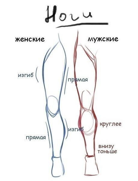      . - 6