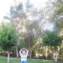 ���� Gabi, ������ - ��������� 4 ������� 2014 � ������ �������.�����