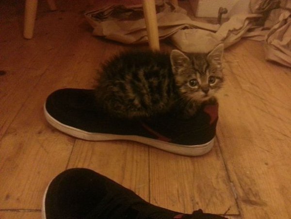 :3