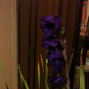 ���� �����, ������, 25 ��� - ��������� 22 ������� 2014 � ������ ���� ����������