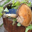  ,  -  26  2014     )