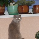 ���� ����������, ����������, 45 ��� - ��������� 19 �������� 2014 � ������ ���� ����������