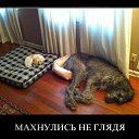 ���� ������, ������� - ��������� 2 ������� 2014 � ������ ������ ��������