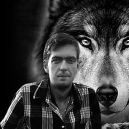 ���������, ���, 43 ����