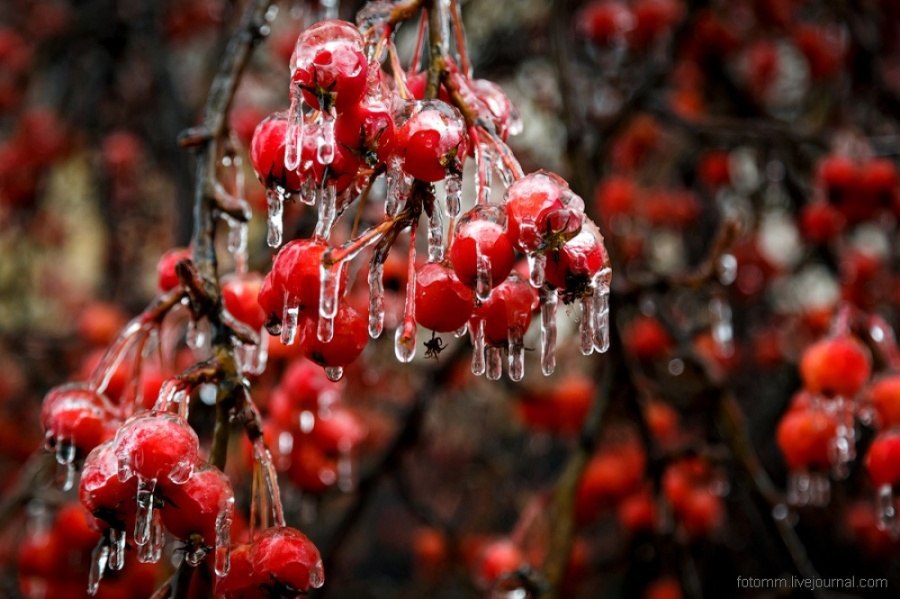   .#nature@interestplanet_ru - 8