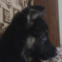 ���� �����, �����, 62 ���� - ��������� 15 ������ 2014 � ������ �������