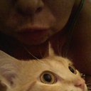 ���� ����������, ����� - ��������� 17 ������� 2014 � ������ ������ ��������