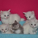 ���� �����, ������� - ��������� 4 �������� 2014