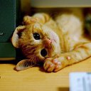 ���� ������, ����, 65 ��� - ��������� 5 �������� 2014 � ������ ������ ��������