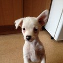 ���� �����, ������, 48 ��� - ��������� 6 ������ 2014 � ������ ���� ����������