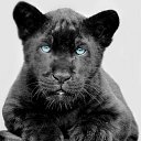  Dali, , 52  -  10  2014    