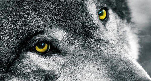 �� ������ ������ ������� ����� �������. ���� ������� �� ������ ������� �����.