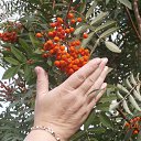 ������- ��� ������ �� ������� ������ 2014�