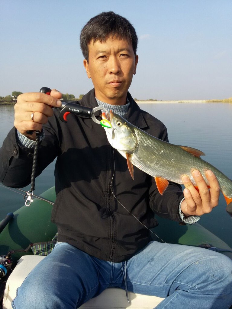 ����� ������� - 24 ������ 2014 � 22:37 - 3
