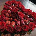 ���� ����, ������ - ��������� 15 ������ 2014 � ������ ������ ��������