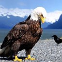 ���� ���������, ��������� - ��������� 12 ������ 2014 � ������ ������ ��������