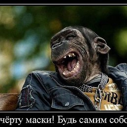 ���� Sergio, �����-��������� - ��������� 11 ������� 2014