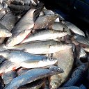  , -, 55  -  28  2014    