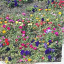 ����� ��������. �������� 2014 ����. �� ������� ���� ����������