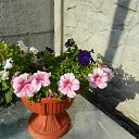 ���� �������, ������ - ��������� 24 �������� 2014 � ������ ���� ����������