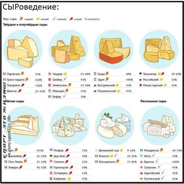Сыр в бодибилдинге. Можно или не можно? Если взглянуть на продуктовую корзину среднестатистического ...