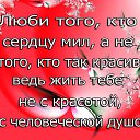 ���� ������, ���������, 61 ��� - ��������� 20 �������� 2014 � ������ ���� ����������