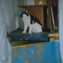 ���� ������, �����, 41 ��� - ��������� 3 ������ 2014 � ������ ���� ����������