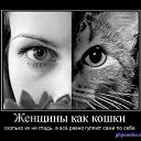 ���� Faniya, ��� - ��������� 7 �������� 2014 � ������ ������ ��������