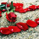 ���� Azad, �������, 41 ��� - ��������� 13 �������� 2014 � ������ ���� ����������