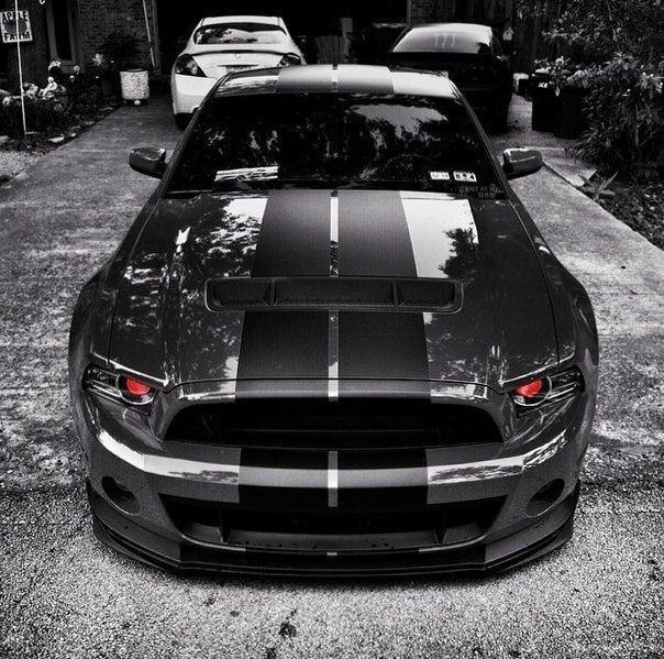 Shelby GT500. - 2