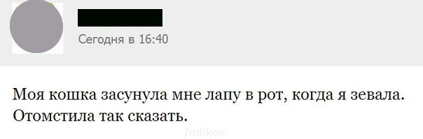  - 7  2014  11:31