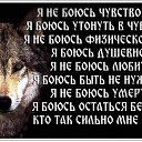 ���� �����, ������ �������� - ��������� 10 ������� 2014 � ������ ������ ��������