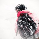 ���� ���������, �����, 47 ��� - ��������� 20 ������� 2014 � ������ ���� ����������