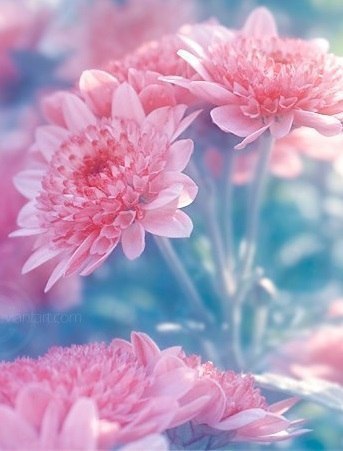 Чем позитивнее вы настроены, тем больше вы притянете того, что поможет вам сохранить душевный подъем ...