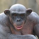 ���� Alex, �����������, 48 ��� - ��������� 12 �������� 2014 � ������ ���� ����������