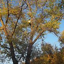 ���� ���������, ��������������, 49 ��� - ��������� 19 ������� 2014 � ������ ���� ����������