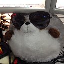 ���� �������, �����-��������� - ��������� 11 ������� 2014 � ������ ���� ����������