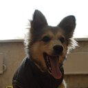 ���� Hell Girl, ���������, 31 ��� - ��������� 17 ������� 2014 � ������ ������ ��������