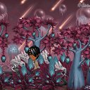 ���� ��, ���� - ��������� 28 ������ 2014 � ������ �Tropikania�