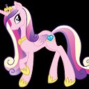 ���� �����, �����-���������, 37 ��� - ��������� 29 ������� 2014 � ������ ���� ����������