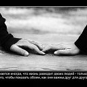 ���� ����, ���������� - ��������� 18 ������� 2014 � ������ ������ ��������