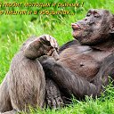 ���� ���, ���� - ��������� 24 �������� 2014 � ������ ������ ��������