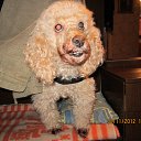 ���� ������, �����-��������� - ��������� 23 ������ 2014 � ������ ���� ����������