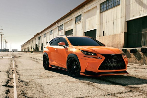 Lexus NX 200t F SPORT by 360 Elite Motorworks - 2