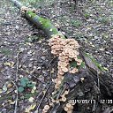 ���� ������, �������� - ��������� 17 �������� 2014 � ������ ������ � ��������!�