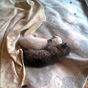 ����...=) �� ������� ���� ����������