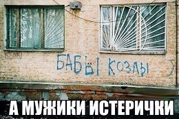 �����������