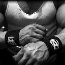 ���� Volter, �������� - ��������� 24 ������� 2014 � ������ ���� ����������