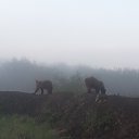 ���� ������, �����, 54 ���� - ��������� 1 ������� 2014 � ������ ���� ����������